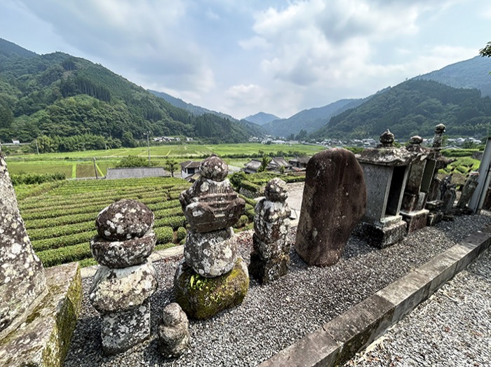活動の様子