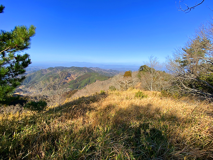 兵どもの夢の旅