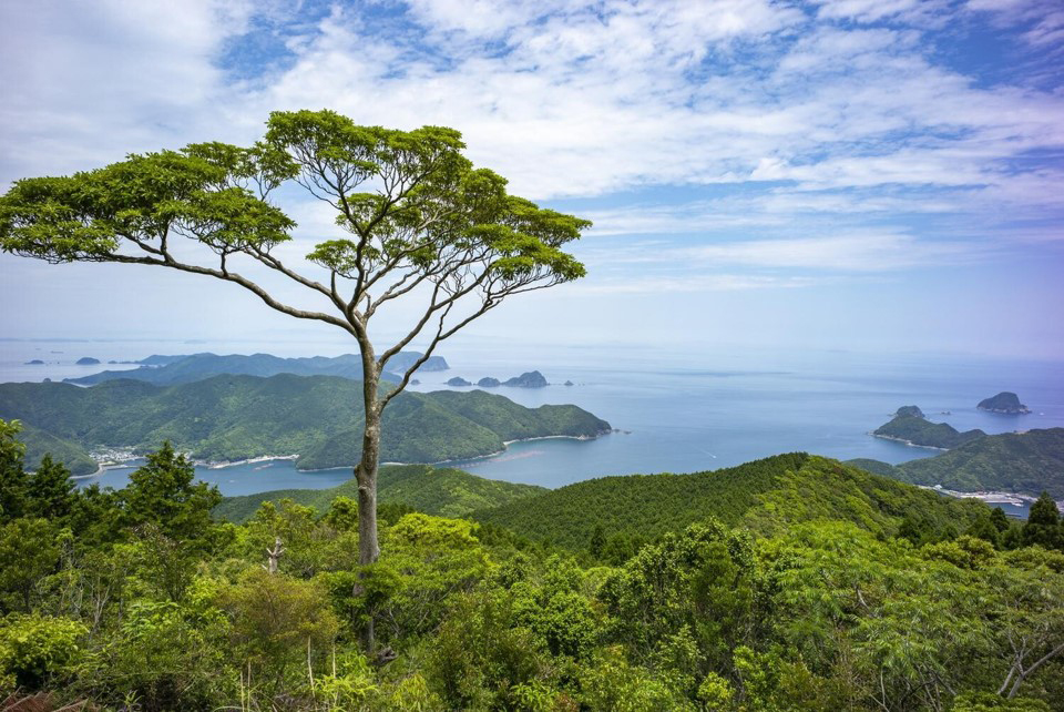 海天空の旅
